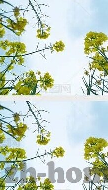 不卡免费一区二区日韩av-探索成人娱乐内容的多元世界，一区二区的日韩AV文化