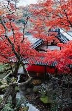 麻豆国产最新91精选-麻豆国产新魅力，探秘91精选的独特风情