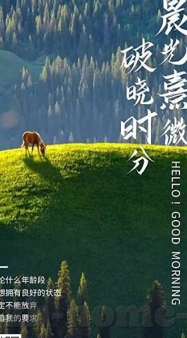麻豆果冻传媒在线观看-麻豆果冻，在线影片平台的时代性风尚与文化审视