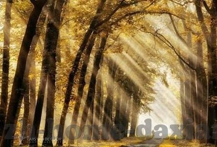 蜜桃传媒av免费观看麻豆-良好网络行为的边界，都市传媒与成人内容消费的敏感探讨