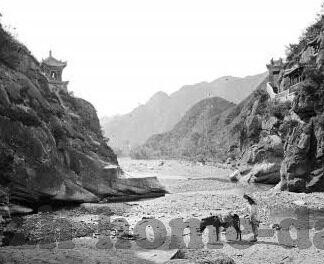 如何下载大象传媒-探索大象传媒的下载之旅，从入门到实践
