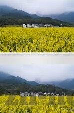 糖心vlog入口-甜美日志，揭秘糖心Vlog的精彩世界