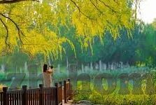 糖心直播app怎么样-全方位解析，糖心直播app的特性和用户体验