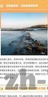 中文字幕在线人成视频-中文字幕在线人成视频，文化交流的桥梁与挑战